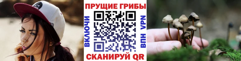 Галлюциногенные грибы Cubensis  Ноябрьск 